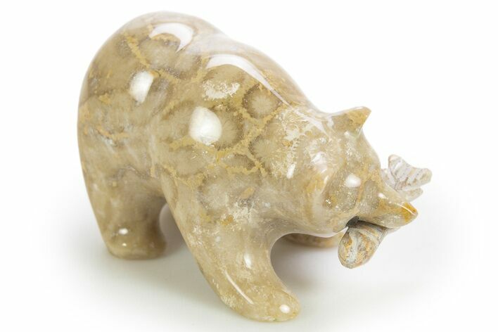 Realistic, Polished Fossil Coral Bear with Fish - Philippines #308438